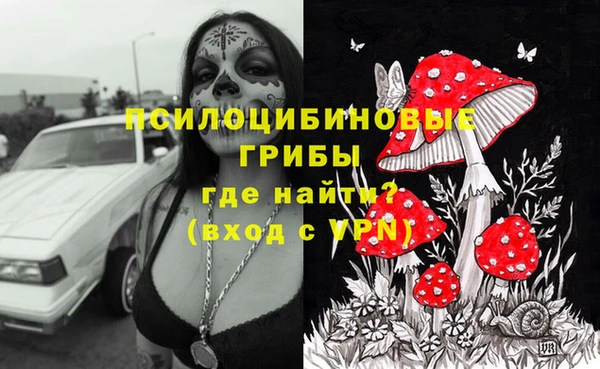 шишки Вязники