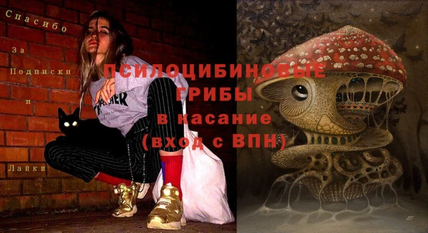 меф Вяземский