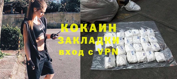 шишки Вязники