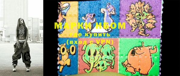 шишки Вязники