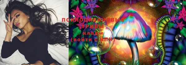 меф Вяземский