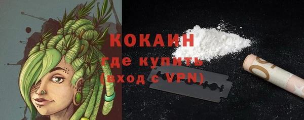 шишки Вязники